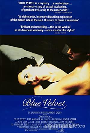 Mavi Kadife (Blue Velvet) 1986 izle